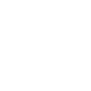 Saudi Falcons Club Logo